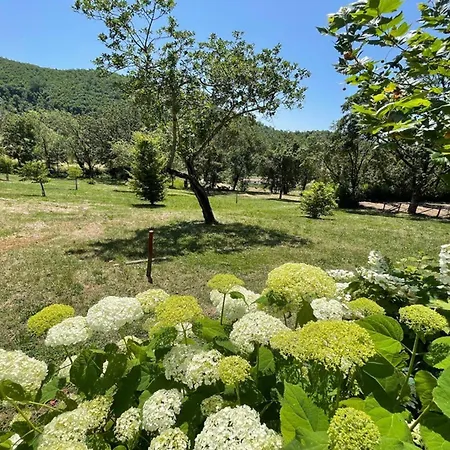 Villa Spoleto Country Park - Slps 28 A Wonderland