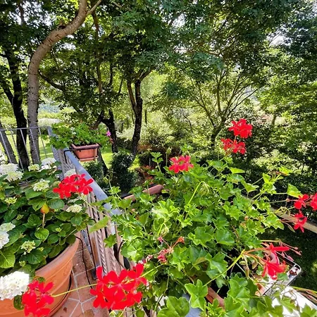 Villa Spoleto Country Park - Slps 28 A Wonderland *