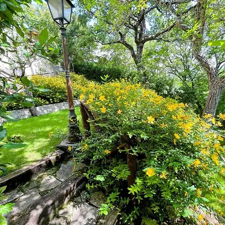 Spoleto Country Park - Slps 28 A Wonderland Villa *