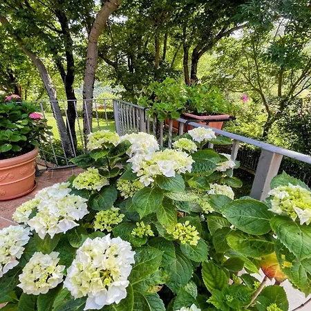 Spoleto Country Park - Slps 28 A Wonderland Villa